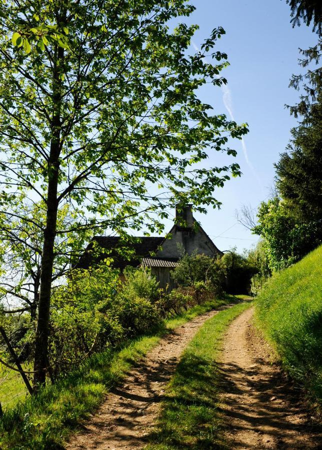 Villa Le Bourmier Anlhiac Near Excideuil Exterior foto